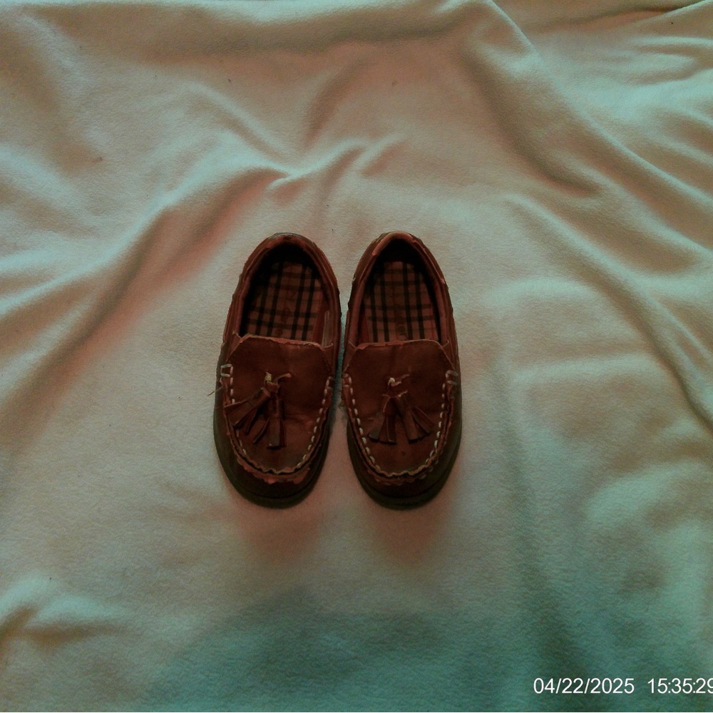 Brown Tassel Loafers